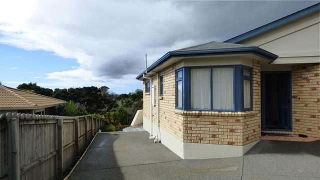 29 Blue Heron Rise Stanmore Bay_1