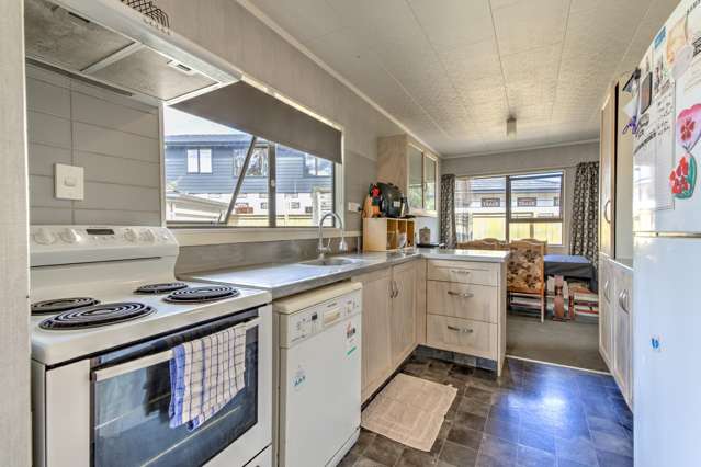 67 Dominion Road Nawton_2