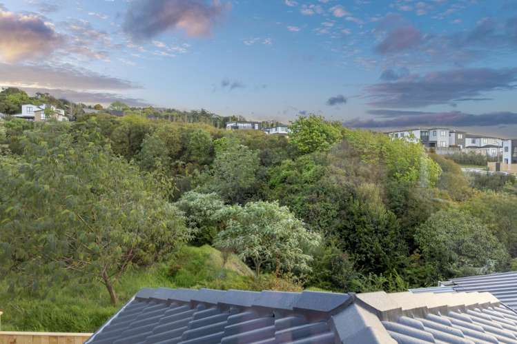 3 Ripa Street Flat Bush_20