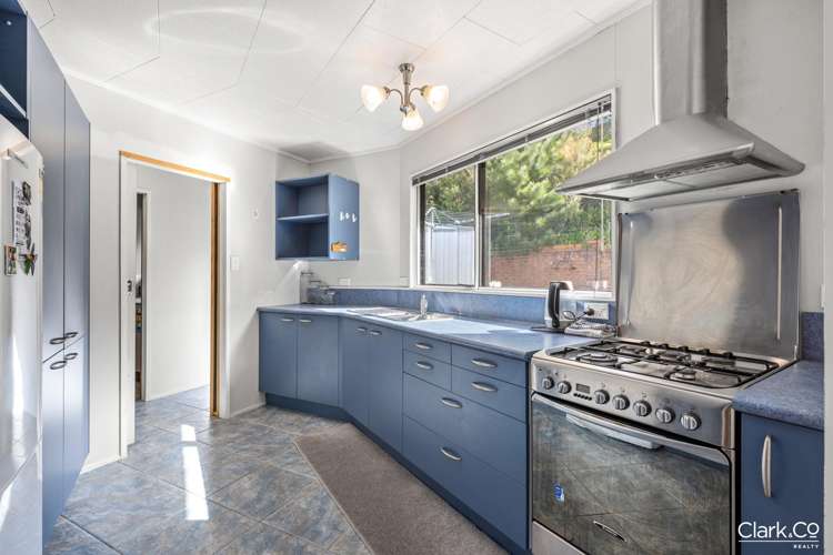 53 Omapere Street_1