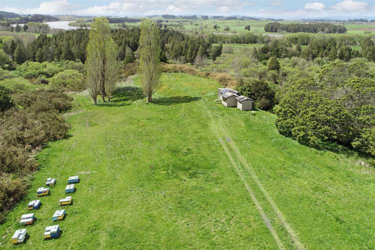 242 Punga Punga Road Pukekawa_1