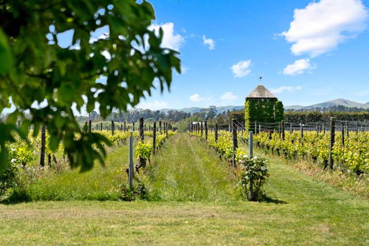 39 Huangarua Road Martinborough_15
