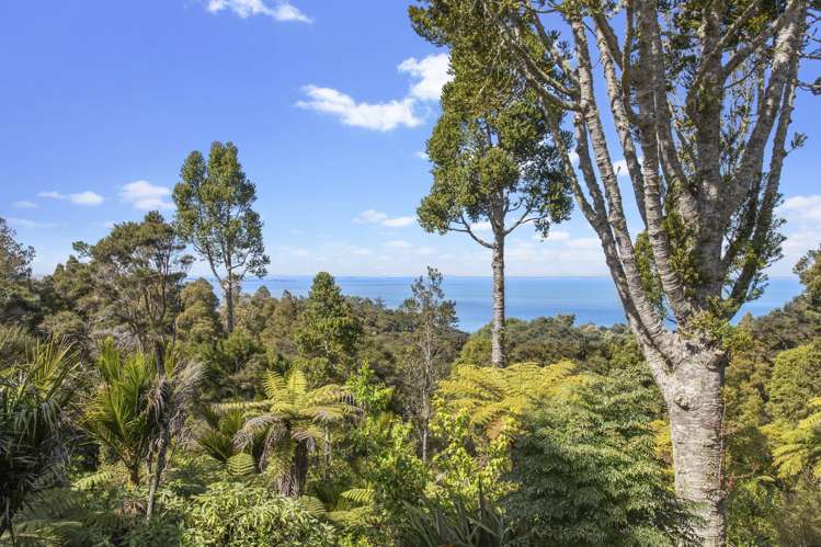 69 Takahe Road Titirangi_9