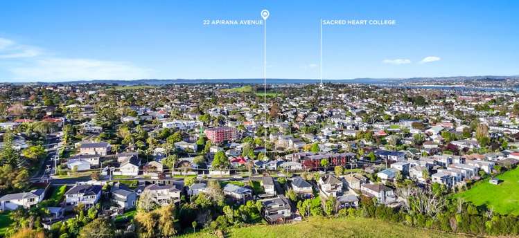 22 Apirana Avenue Glen Innes_16