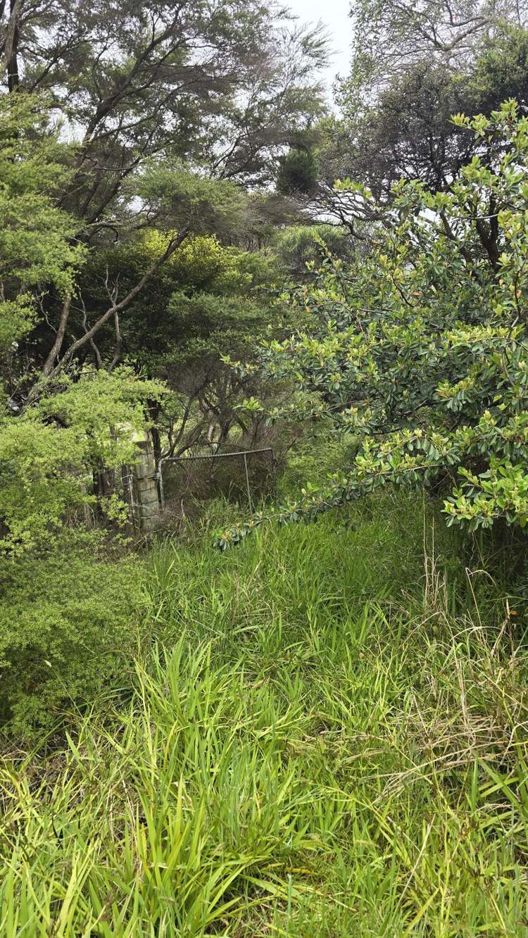 540b Medland Road Great Barrier Island_14