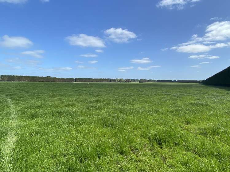 1005 Woodlands Invercargill Highway Longbush_3