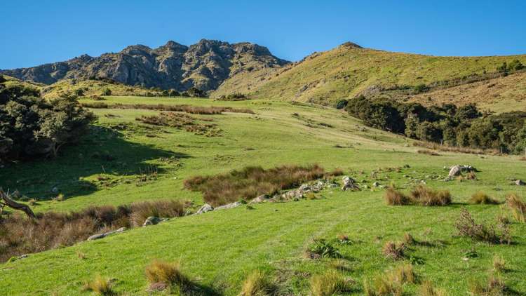 168-240 Purau Port Levy Road Purau_9