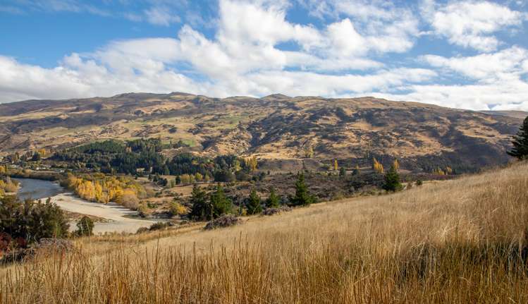 Wright Road Kaka Point_7