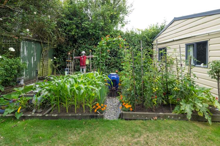 7 Beach Road Hampstead_24