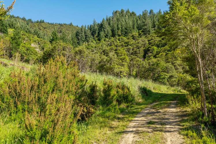 793 Waikakaho Road Tua Marina_42