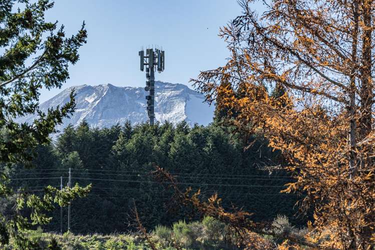 39 Park Avenue Ohakune_20