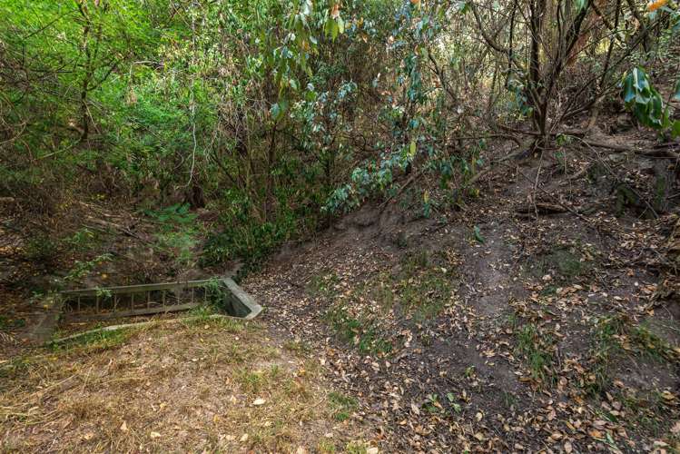 6 Plumwood Lane Cashmere_17