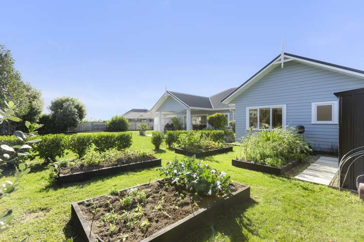 31 Jarrett Terrace Leamington_19