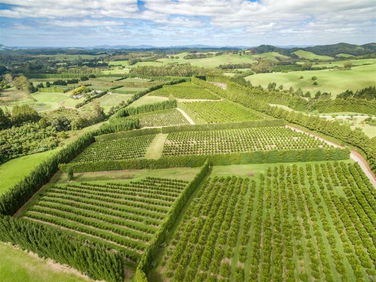 517 Kerikeri Road Kerikeri_9