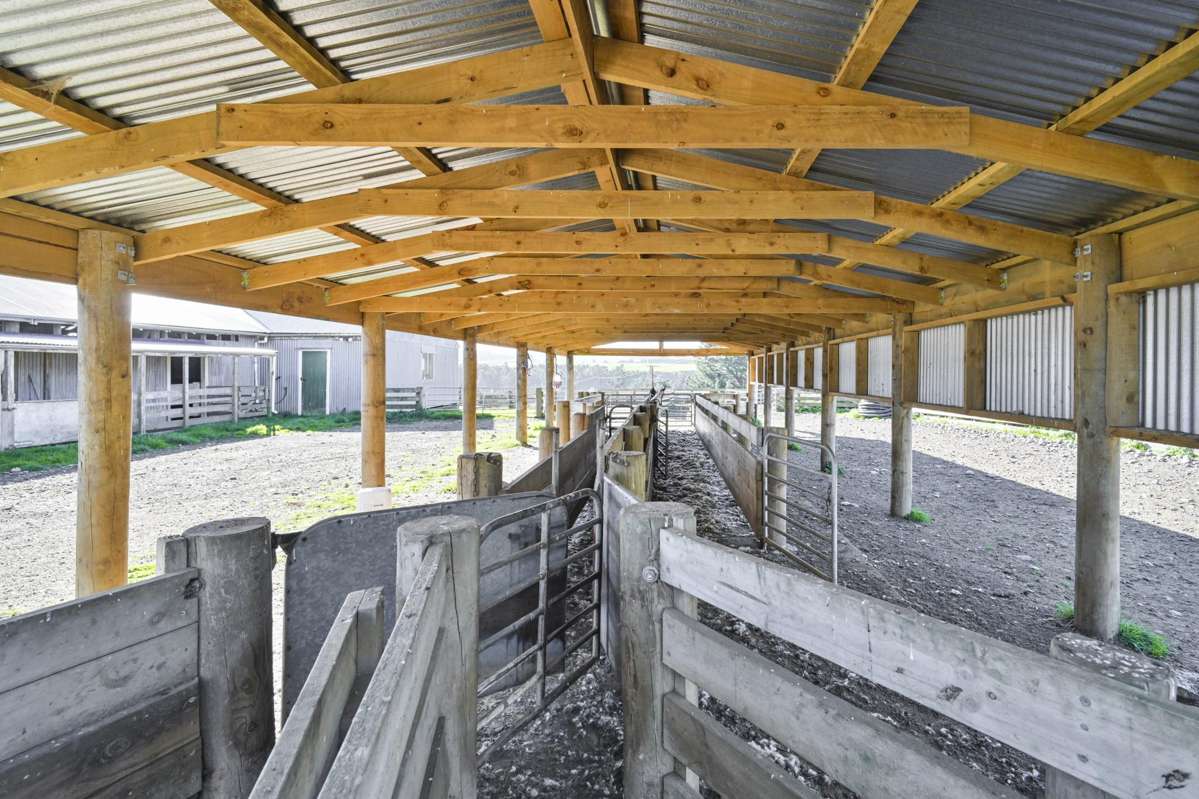 Mananui Station_4
