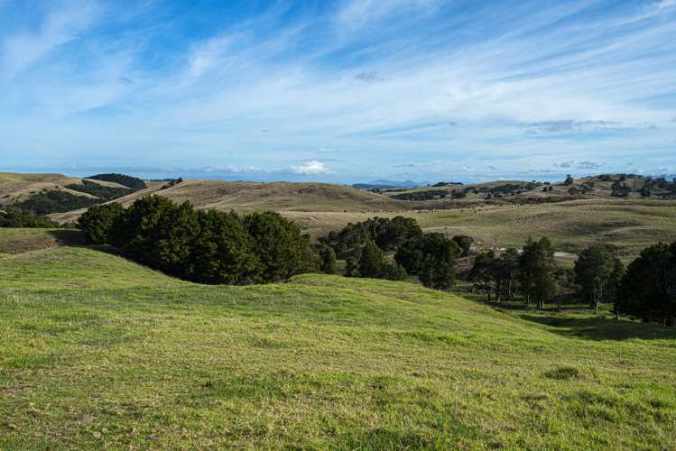 Parahi Road Ruawai_20