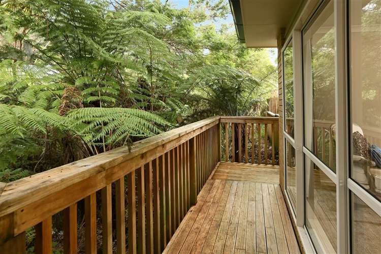 10 Wychwood Avenue Henderson_8