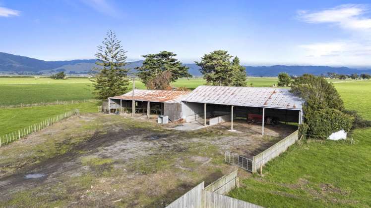 513 Tane Road Opiki_22