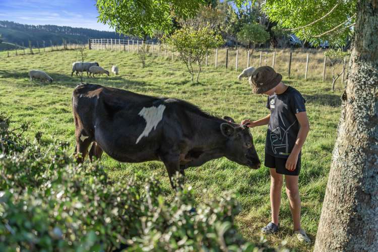 106c Awanuiarangi Road Pikowai_10