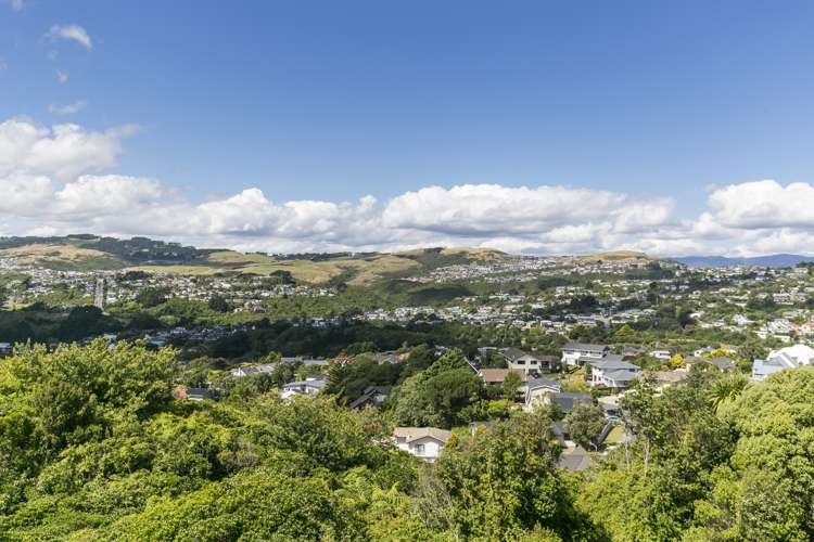 1 Atamira Close Churton Park_22