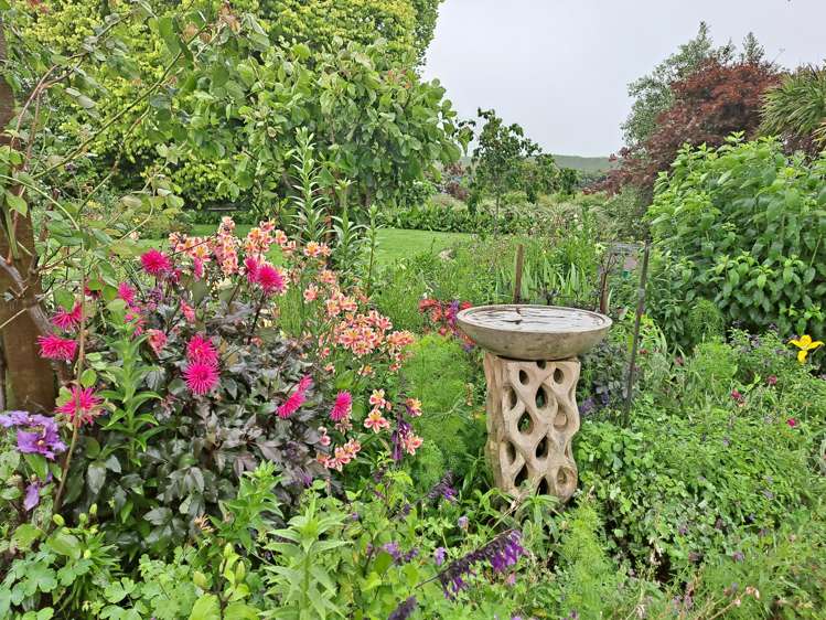 769 No 1 Road Te Puke_25