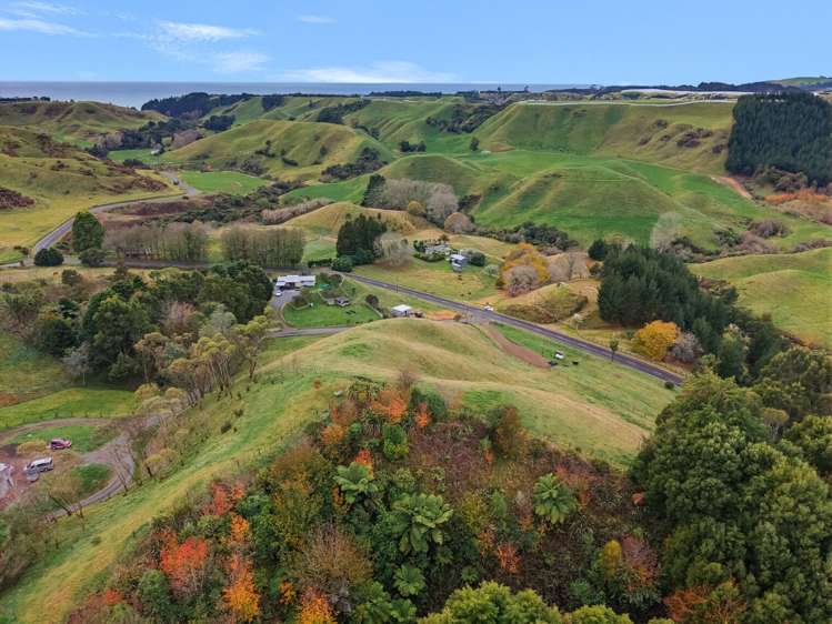 272 Pikowai Road Pikowai_13