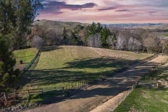 Lot Lot 2, 3 & 4/17 Ireland Road Waipawa_2