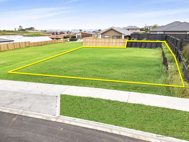 22 Harp Street Morrinsville_2
