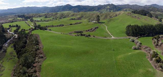 Dairy support grazing block