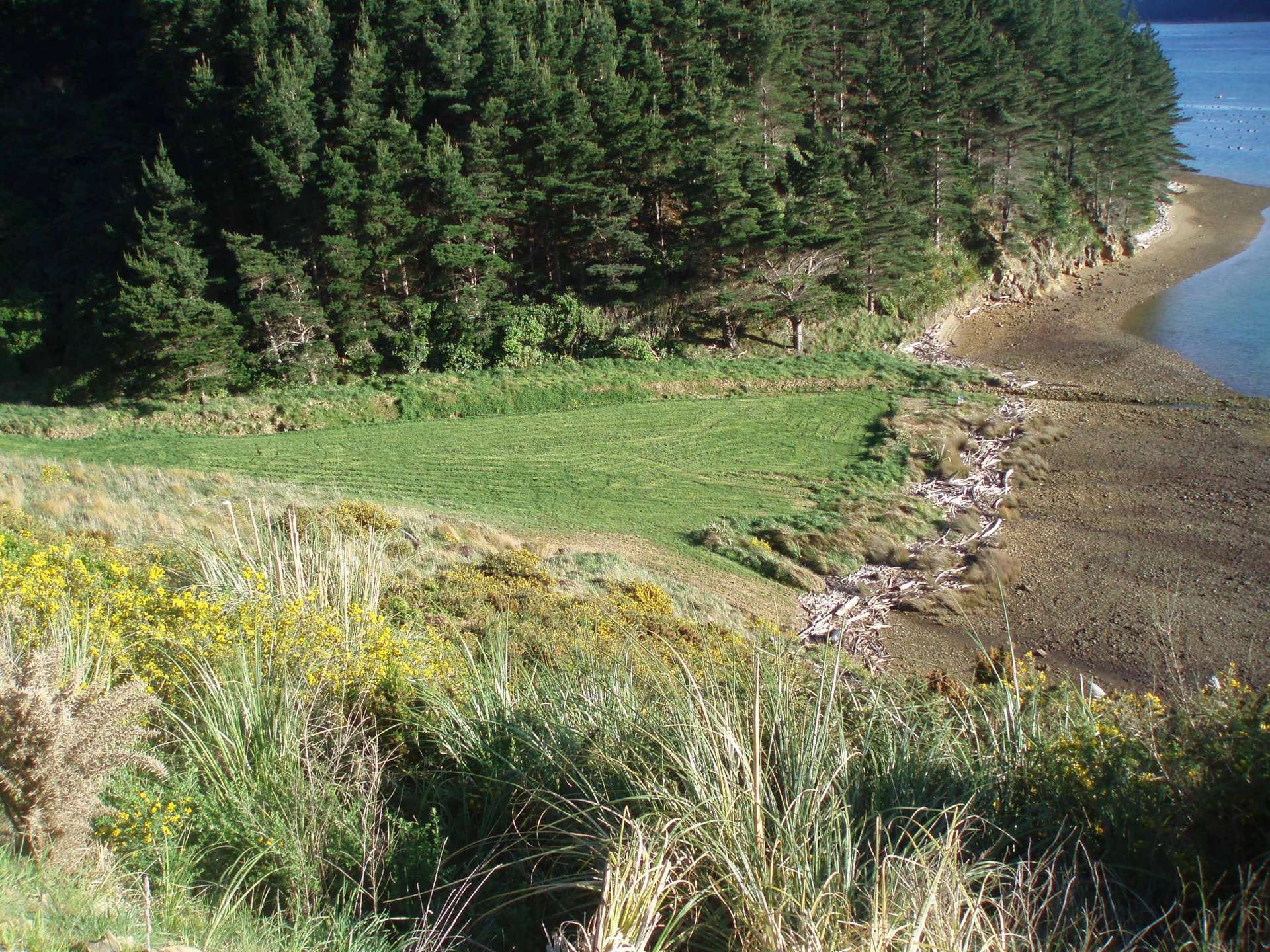 815 Manaroa Road Marlborough Sounds_0