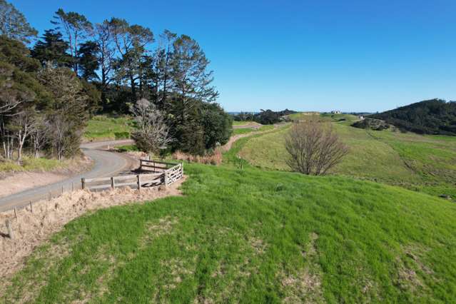 183 Sills Road Dargaville_3
