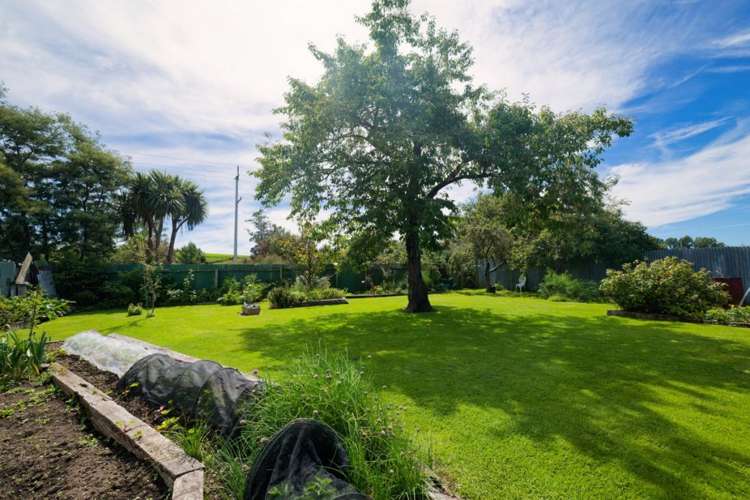 1235 Parnassus Road Ferniehurst_11