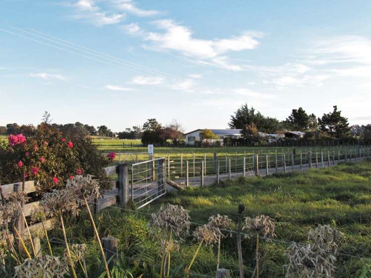 2246 Kahutara Road Kahutara_13