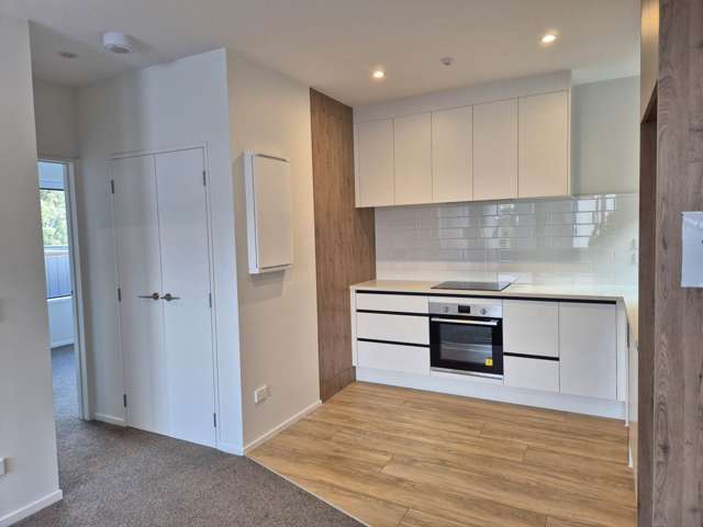 5/3 Treasure Lane Te Atatu South_4