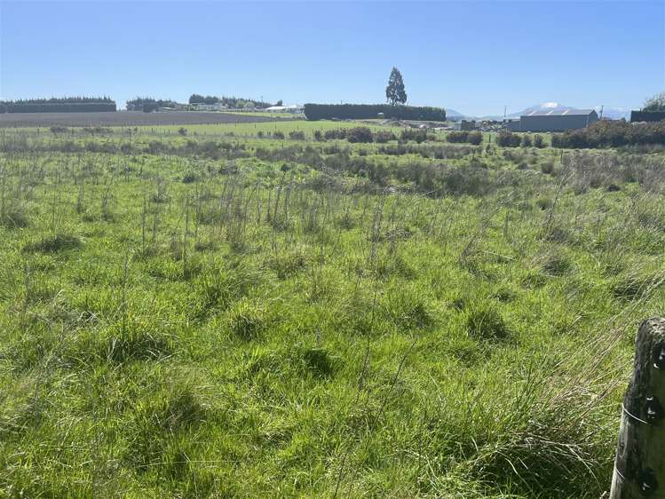 44 Queen Street Balfour_6