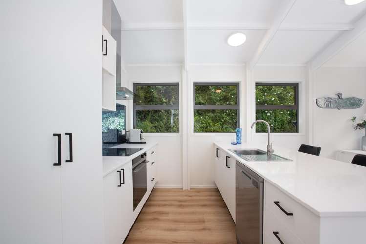 8 Mount Pleasant Road Aro Valley_17