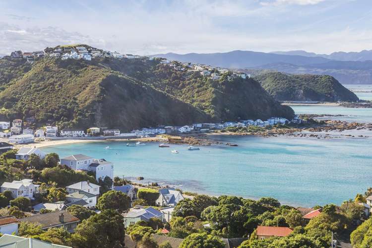 9/52 High Street Island Bay_13