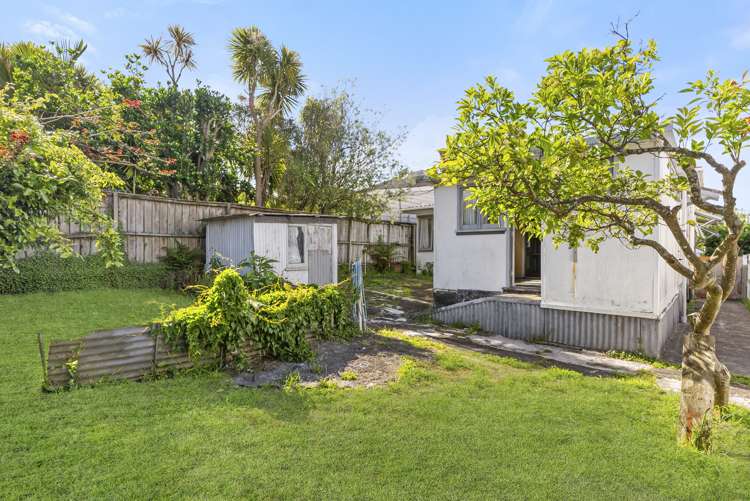 47 Summer Street Ponsonby_8