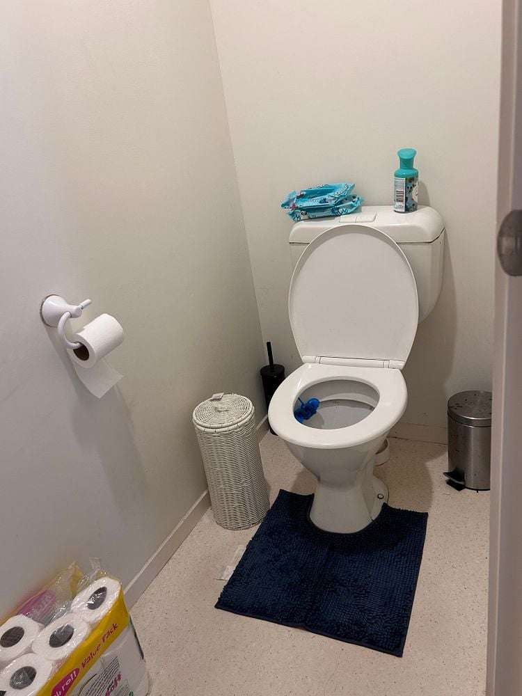 53 Palmcrest Grove Highland Park_13