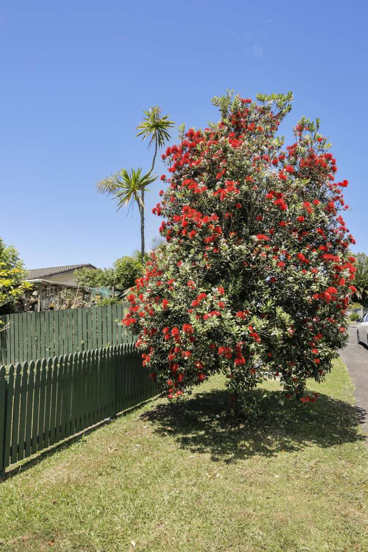 18 Roick Parade Glen Eden_17