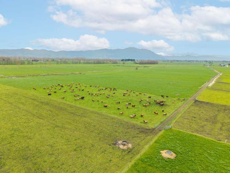 76 Otway Road Te Aroha_4