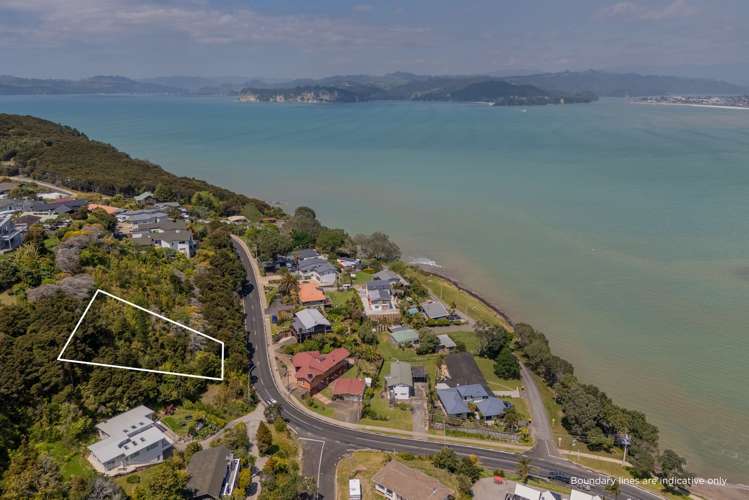 192 Buffalo Beach Road Whitianga_9