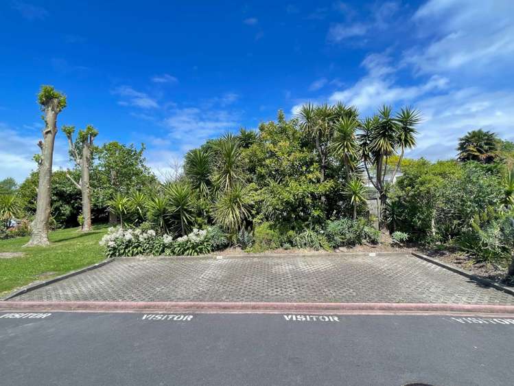 60/92 Bush Road Albany_9