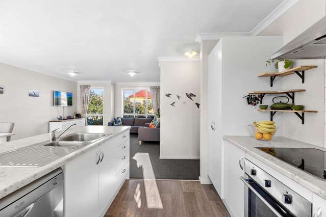 187 Olliviers Road Linwood_1