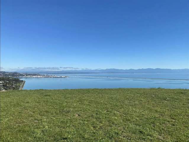 111 Bay View Road Atawhai_2
