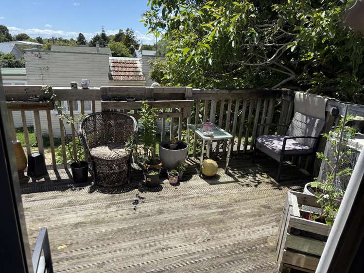 668A Grey Street Hamilton East_6