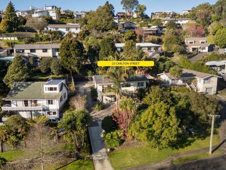 23 Carlton Street Bellevue_20