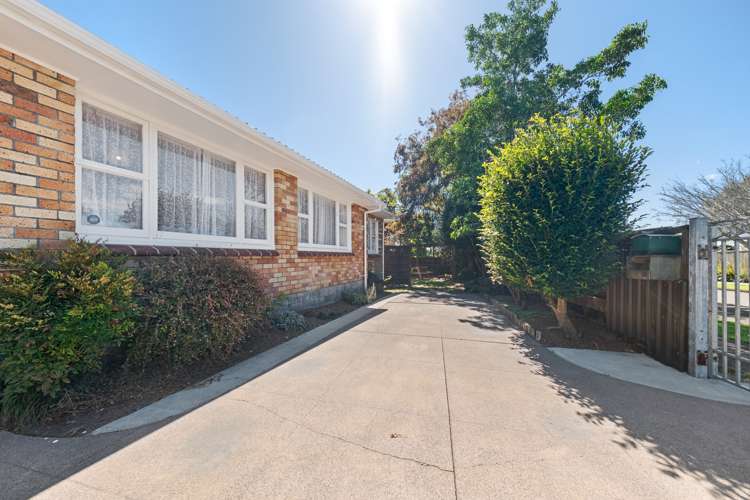 91 Manu Crescent Upper Vogeltown_28