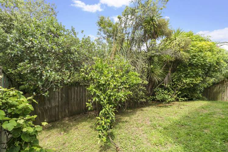 37A Hendry Avenue Hillsborough_21