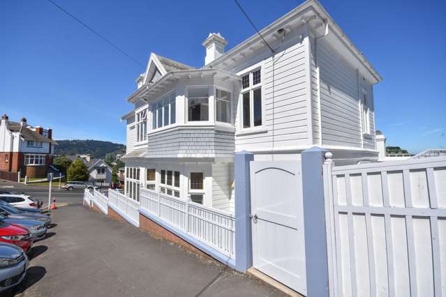 16 Pitt Street Dunedin Central_1